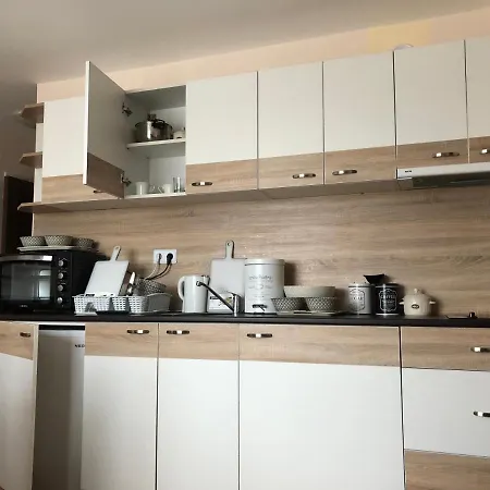 Palace De Luxe - Apartment *