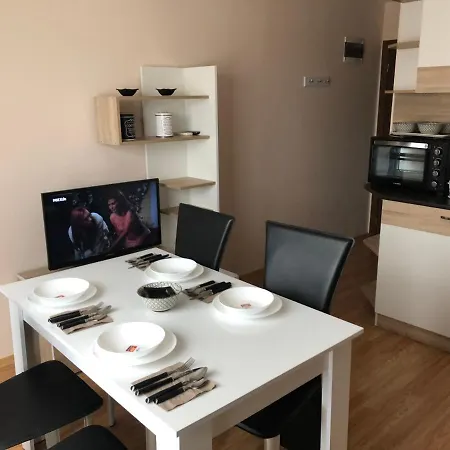 Apartment Palace De Luxe -