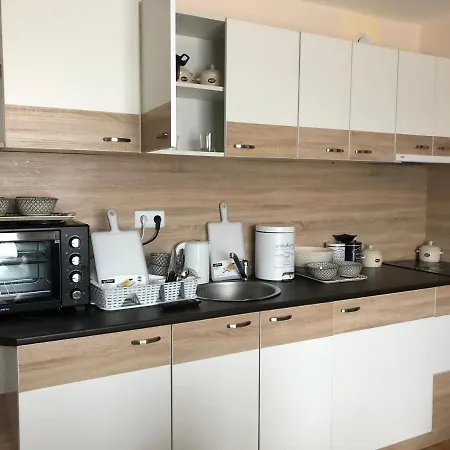 Palace De Luxe - 아파트 *