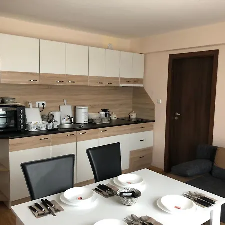Apartment Palace De Luxe -